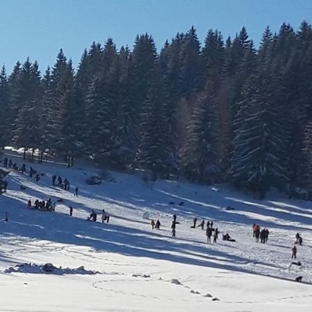 Apartman Zlatar-Vasiljevic Nova Varoš Kültér fotó